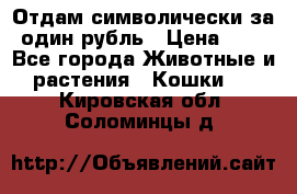 Отдам символически за один рубль › Цена ­ 1 - Все города Животные и растения » Кошки   . Кировская обл.,Соломинцы д.